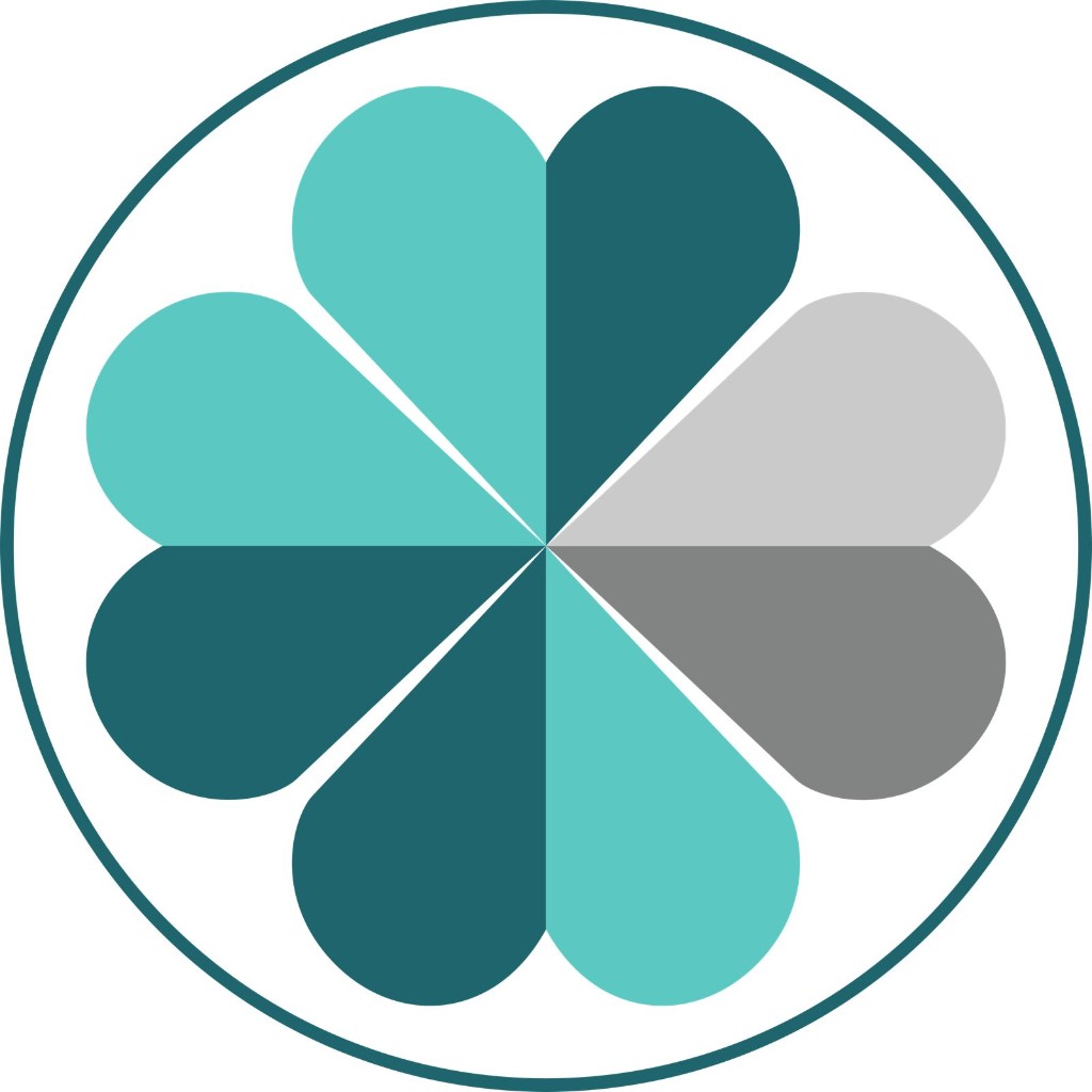 Solutions Institute